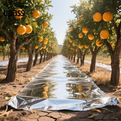 Stärke Silber Aluminiumfolie Verbundwerkstoff PET Blow Molding Bodenbedeckung Reflexive Kunststoff Mulch Film 100x55x55cm Roll für