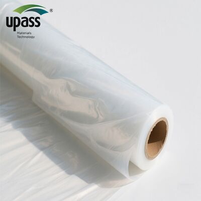 Ready to Ship UV Resistant PE Film Greenhouse Plastic Agriculture Polyhouse Greenhouse for Farm Use